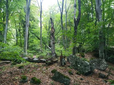 Прикрепленное изображение: 005.jpg